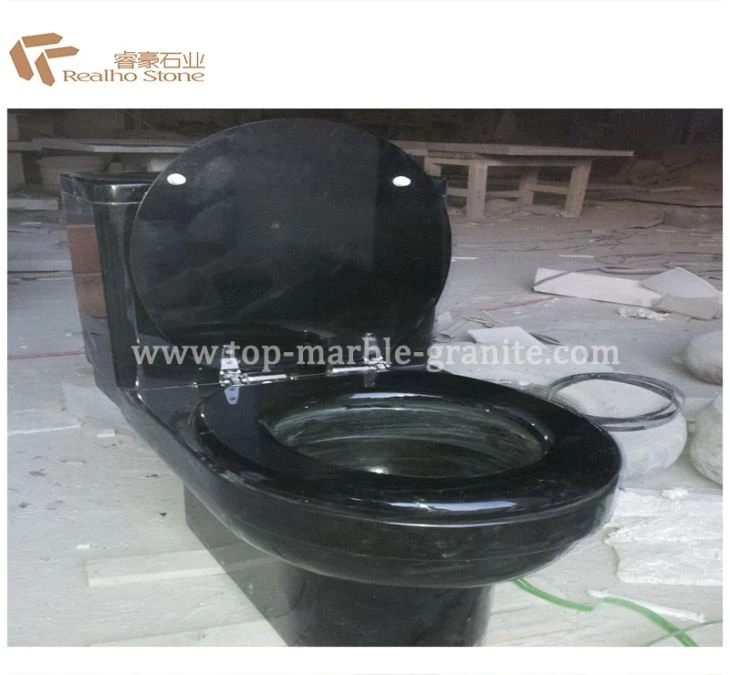 flush toilet